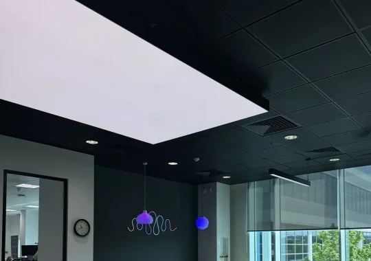 Signify